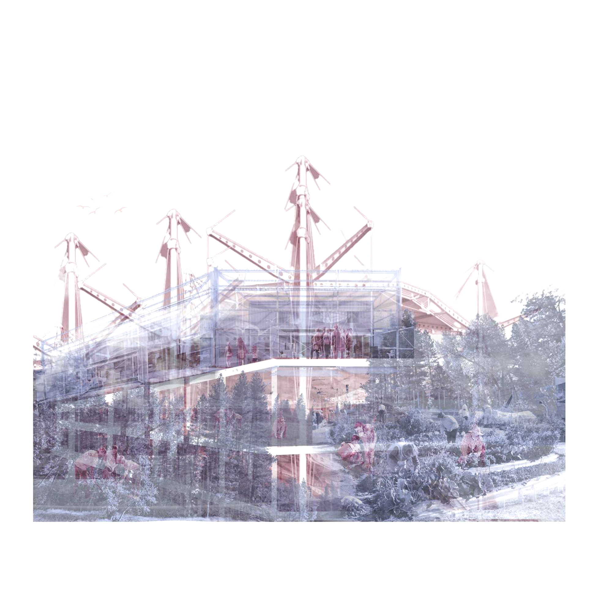 Off the grid — COLLAGE